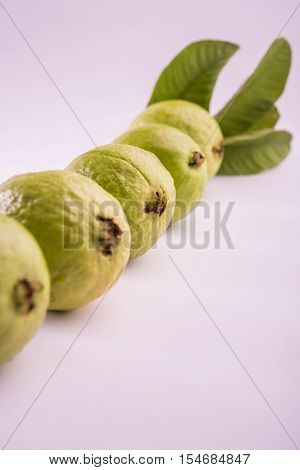Guava fruit or Amrood or Amrud or peru isolated, selective focus