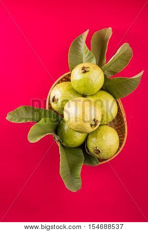 Guava fruit or Amrood or Amrud or peru isolated, selective focus