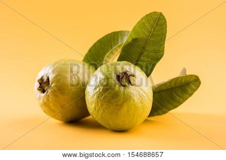 Guava fruit or Amrood or Amrud or peru isolated, selective focus