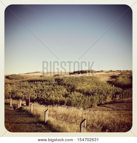 Landscape view. Natural park with hills, trees and blue sky background.  Instagram effects.