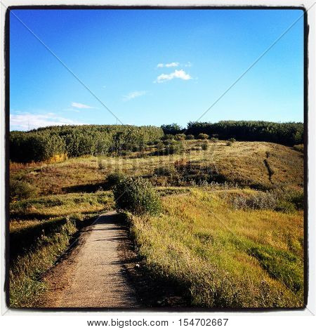 Landscape view with trails in meadow. Blue sky, hills and trees. Instagram effects.