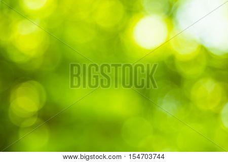 Blurred nature background.Backdrop with color and bright sun light. Summer holidays concept.bokeh background or Christmas background.Green Energy.