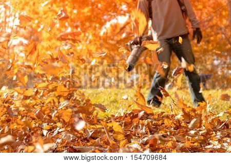 Leaf blower in action blowing crispy fallen leaves from the yard