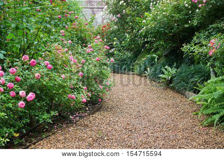 Walkway in botanic rose garden stock photo