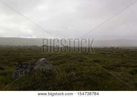 Morning fog in the valley of the meadow haze. Arctic summer the tundra Norway.