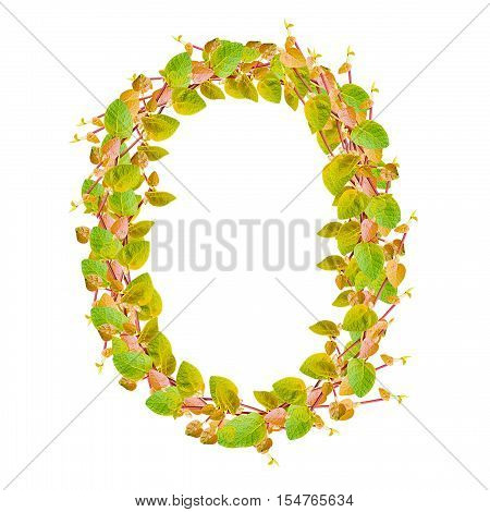 Number 0 alphabet of green leaves on white