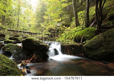 Forest stream autumn Nature background Forest stream river Nature background Forest stream brook Nature background Forest stream fall deciduous trees water Nature background foliage leaves waterfall Nature background Natural environment Nature background.