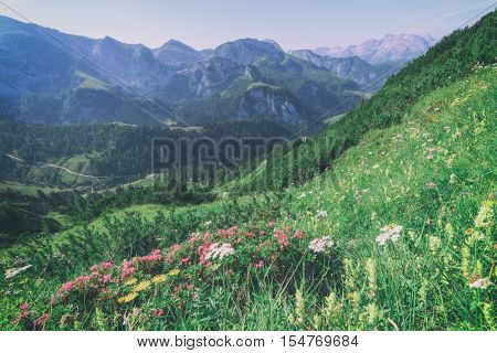 Beautiful view from top of cableway above the Konigsee lake on Schneibstein mountain ridge. Border of German and Austrian Alps, Europe. Toned like Instagram filter