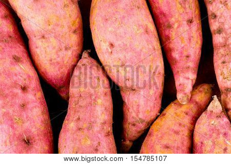 organic orange sweet potato yam  on white background healthy fruit food isolated