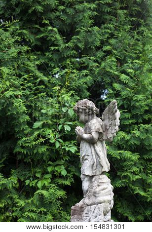 Old cemetery marble sculpture of the angel.