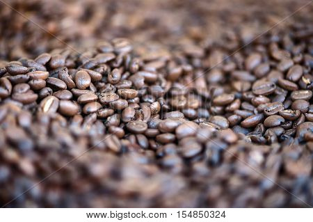 various roasted coffee beans in the foreground isolated