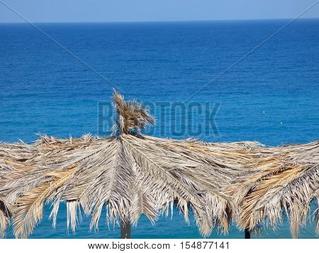 Palm parasols at Gioiosa Marea at Sicily