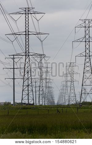 Multiple series of high voltage electricity transmission towers recede into the distance. Marsh land and farm fence in foreground and houses visible on horizon. Location is near Farmington Bay Waterfowl Management Area part of Great Salt Lake Western Hemp