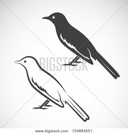 Vector of magpie design on white background. Bird Icon. Vector illustration.