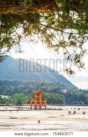 MIYAJIMA JAPAN - MARCH 25 2016: Tourists walk around the famous floating torii gate - Itsukushima Shrine Miyajima