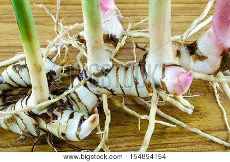 young galangal root and fresh galangal leaf on wooden background. thai herb.