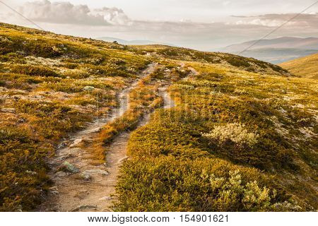 mountain landscape Norway national park Dovre