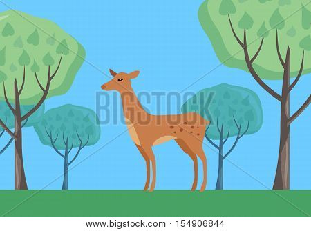 Young fallow deer female in forest on national park with trees behind. Flat style vector. European nature beauty. For travel, nature concept, habitat illustrating. Wildlife and environment concept
