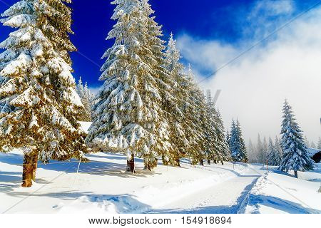 Beautiful mountain snowy landscape and snow covered trees. Beautiful sunny day in the mountains
