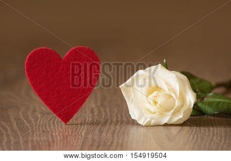 Soft Photo Of A White Rose On Wooden Background