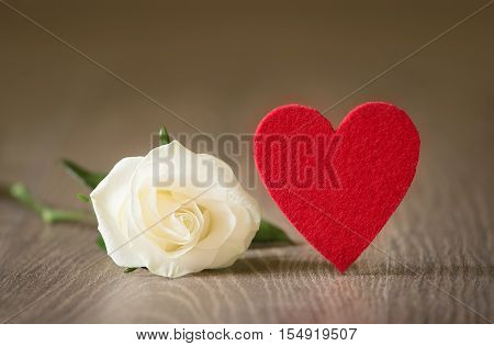 Soft Photo Of A White Rose On Wooden Background