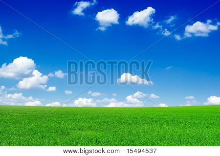 Het veld en de blauwe hemel.