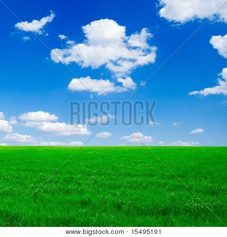 Green field taustalla sininen taivas.