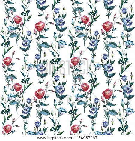 Wildflower Eustoma flower pattern in a watercolor style isolated. Full name of the plant: Eustoma russellianum. Aquarelle wild flower for background, texture, wrapper pattern, frame or border.