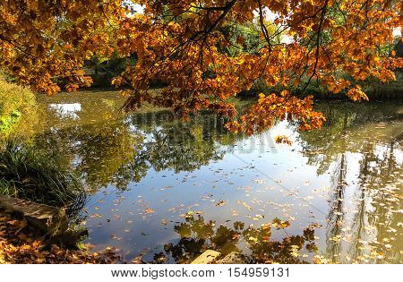 City Park in Hanau (close to Frankfurt am Main) in autumn tints, Germany