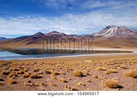 Panoramic view of the Laguna Altiplanica which is a high plateu Lagoon in the area of San Pedro de Atacama in Chile, South America