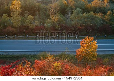 buetiful view of the road from a height. autumn
