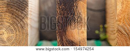 Three sawed-off pieces of wood sawn. Shallow depth of field. Tree rings texture