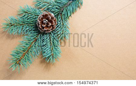 Fir cones on green spruce branch isolated on brown background. Christmas background.
