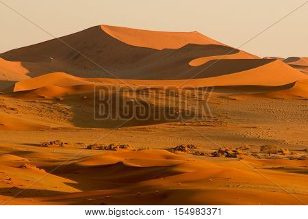 Desert sunrise in the Namibian Desert with shadows