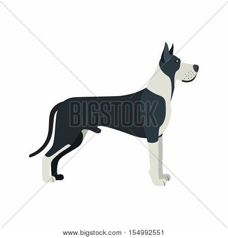 Great Dane dog breed - on white background. Vector illustration