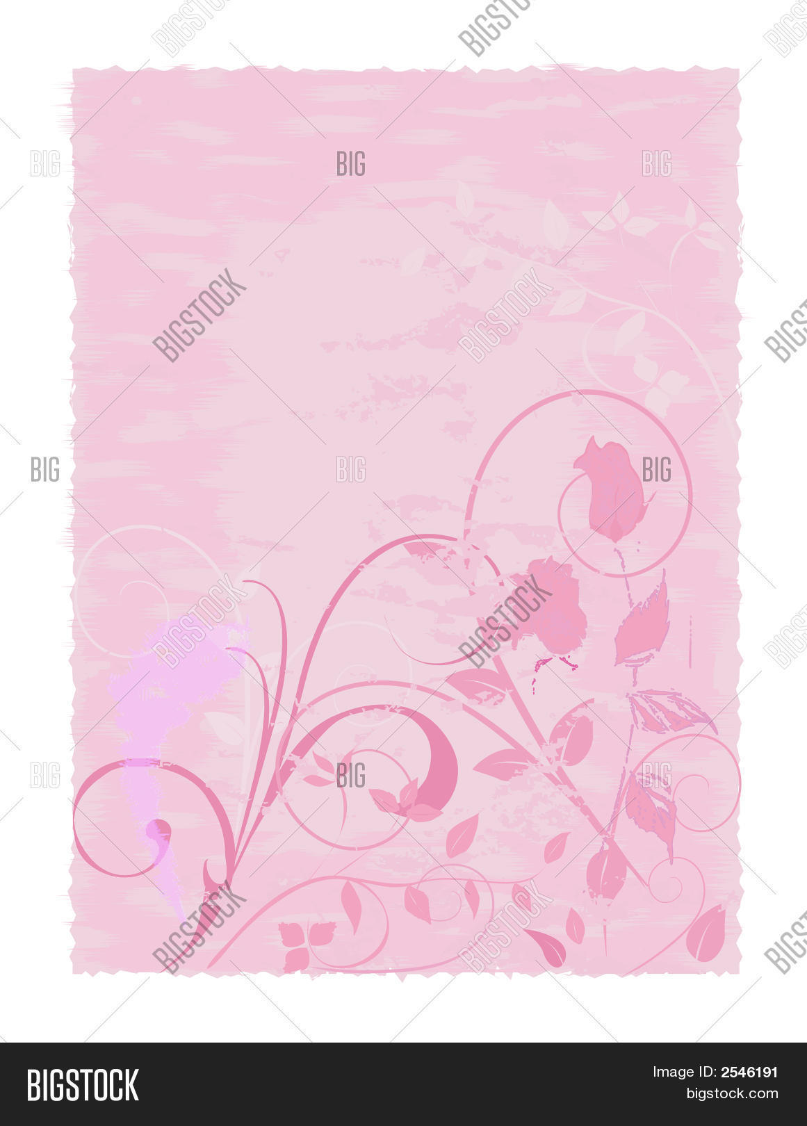 Pink Parchment Rose Vector & Photo (Free Trial) | Bigstock