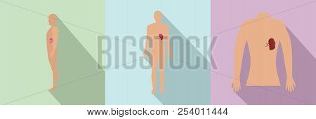 Spleen Milt Human Anatomy Icons Set. Flat Illustration Of 3 Spleen Milt Human Anatomy Icons For Web