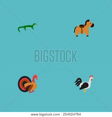 Set Of Zoo Icons Flat Style Symbols With Cock, Turkey, Horse And Other Icons For Your Web Mobile App