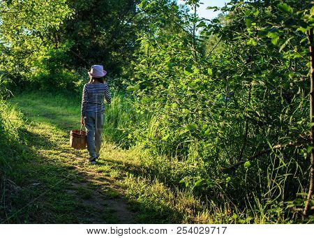Young Girl Walking On A Path Through Green Woods Carrying A Birchbark Basket