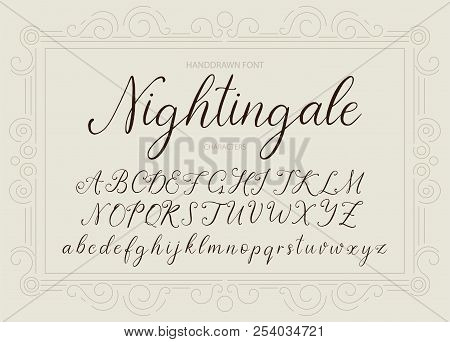 Nightingale. Handdrawn Calligraphic Vector Font. Vintage Gentle Calligraphy.