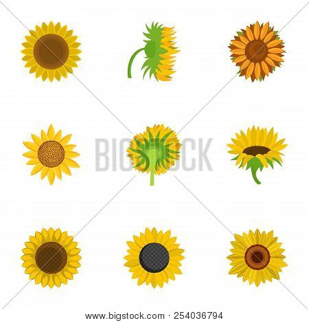 Helianthus Icons Set. Cartoon Set Of 9 Helianthus Vector Icons For Web Isolated On White Background