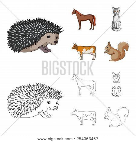 Horse, Cow, Cat, Squirrel And Other Kinds Of Animals.animals Set Collection Icons In Cartoon, Outlin