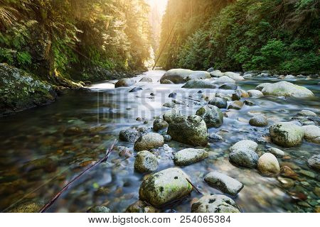 The River At Lynn Canyon In North Vancouver.