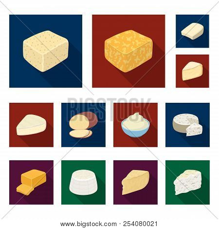 Different Kind Of Cheese Flat Icons In Set Collection For Design.milk Product Cheese Vector Symbol S