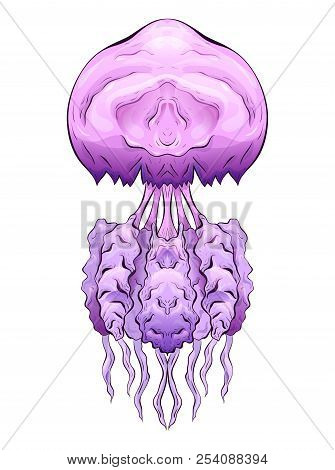 Colorful Illustration Of Jellyfish. The Object Is Separate From The Background. Illustration For Pri