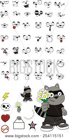 Raccoonch3.eps