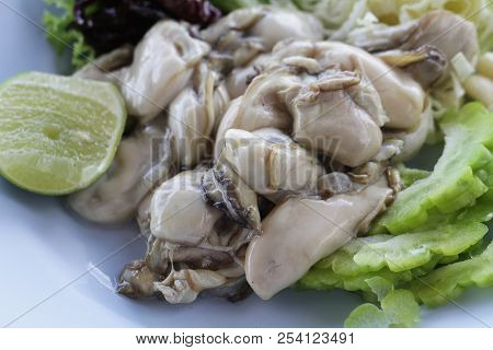 Group Of Raw Fresh Pacific European Big Oysters / Close-up Jelly Animal From Ocean At Seafood Restau