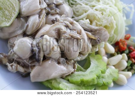 Group Of Raw Fresh Pacific European Big Oysters / Close-up Jelly Animal From Ocean At Seafood Restau