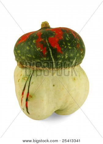 Dekorative turban centnergraeskar