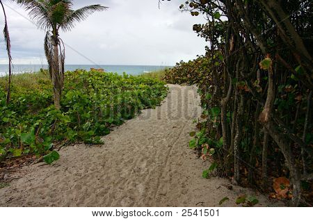 Stranden Trail